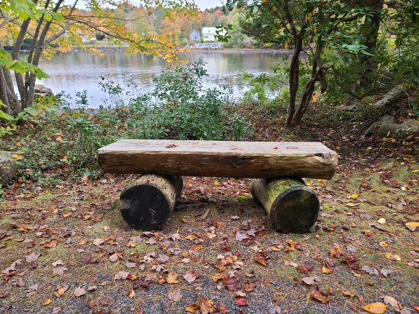 日志的长椅上图片下载