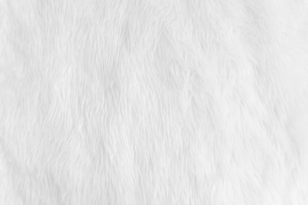 毛色底色为白色，质地柔软蓬松，毛绒绒的羊皮毛布，用于毛毯、地毯等室内装饰图片下载
