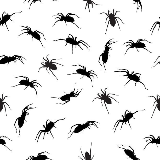 黑蜘蛛无缝花纹图片下载