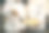 专业厨师上菜的特写镜头。图片下载