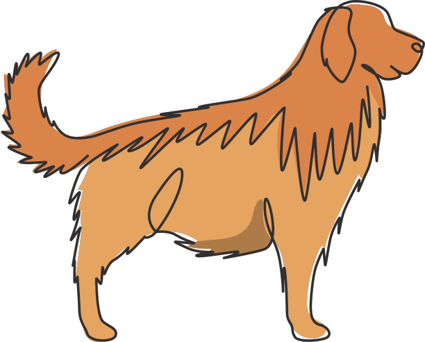 一张张连续的线条画出可爱的金色图片下载