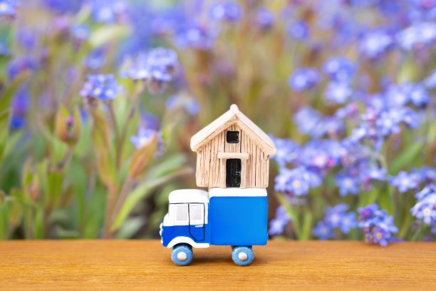 创意乡村搬迁服务图片下载