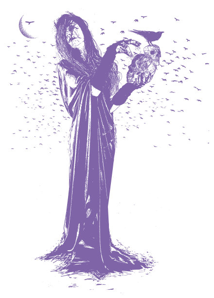 女巫，乌鸦和头骨图片下载