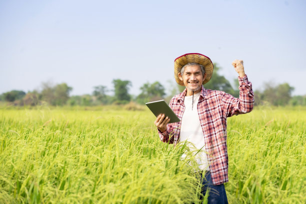 肖像中成熟聪明的农民微笑着站在稻田里，一只手拿着数码平板电脑，另一只手握着手图片下载