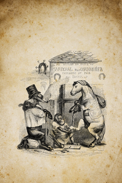 人性化动物插图:猴子清洗马蹄图片下载