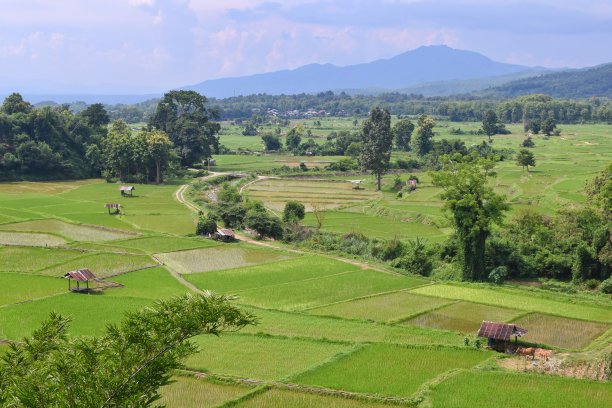 绿色的稻田和山脉，从泰国南部的华南蘑菇农场看。图片下载