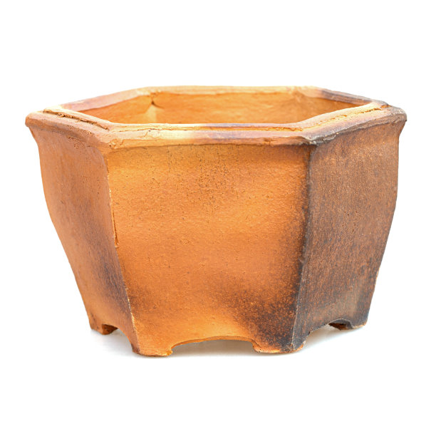 花盆孤立在白色背景上图片下载