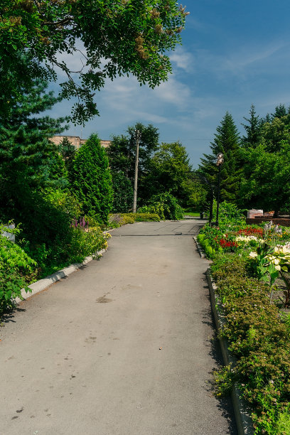 在公园小巷中茂密的绿植和鲜花之间。图片下载