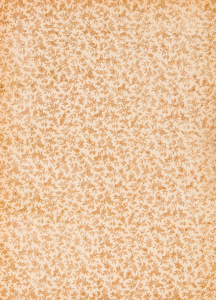 古色古香的图片:书的花卉背景图片下载