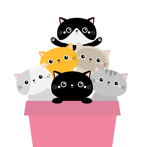 猫捧花套在花盆爪印手上图片下载