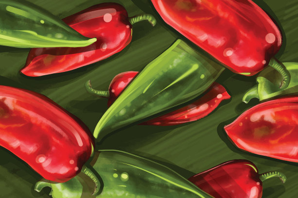 有机蔬菜插图图片下载