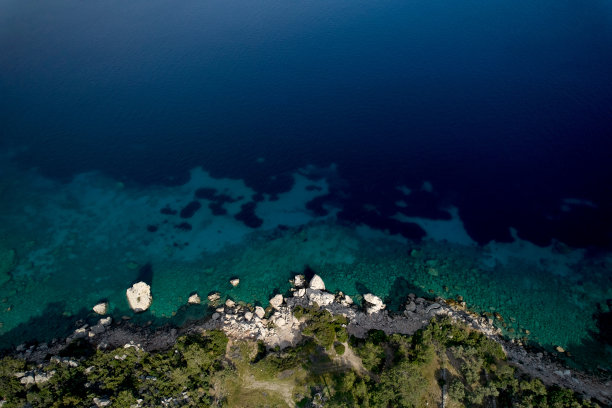 夏天的背景图片下载