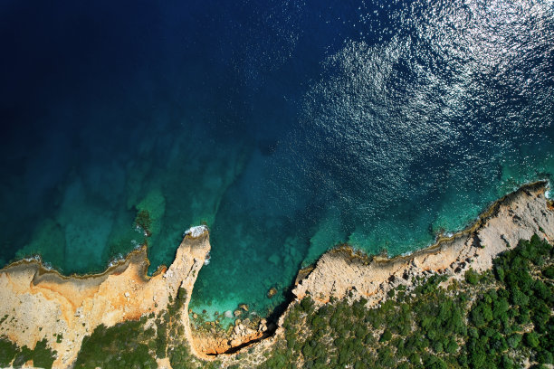 夏天的背景图片下载