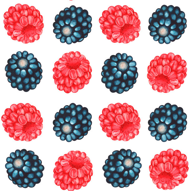 覆盆子和黑莓无缝图案。水彩插图。孤立在白色背景上。图片下载