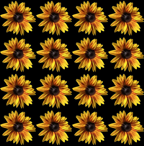 抽象向日葵贺卡设计图片下载