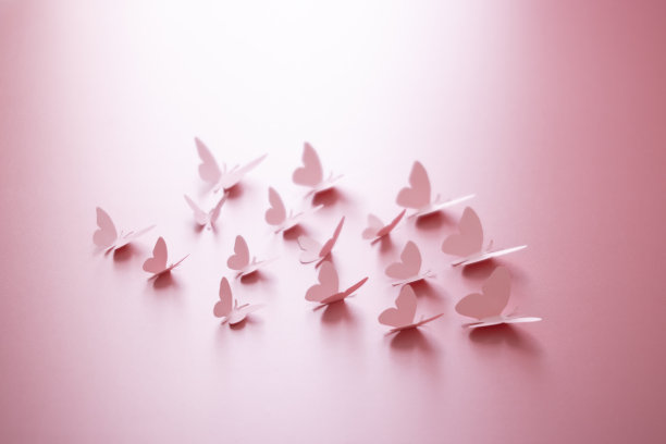 彩纸蝴蝶图片下载