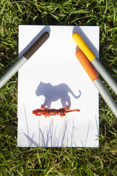 玩具老虎的对比阴影图片下载