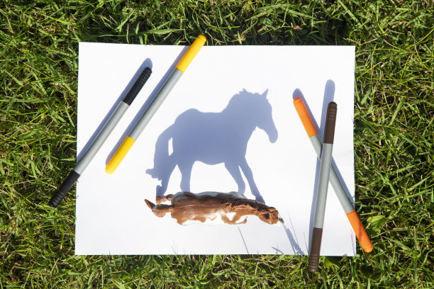 与马的玩具形象形成对比的阴影图片下载