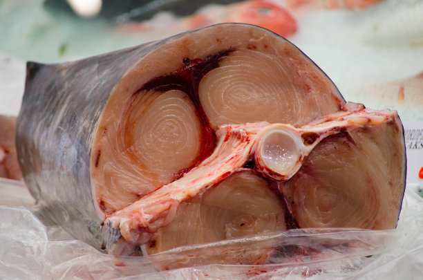 在鱼市，新鲜的旗鱼排冻在冰上。图片下载