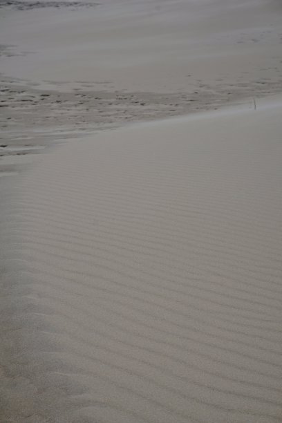 拉<s:1>比约尔沙丘是丹麦斯卡恩和腓特烈港之间的一个迁移的海岸沙丘。它是北欧最大的移动沙丘。图片下载