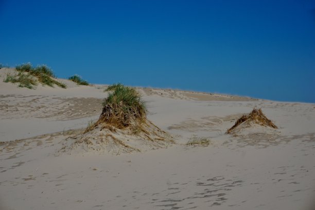 拉<s:1>比约尔沙丘是丹麦斯卡恩和腓特烈港之间的一个迁移的海岸沙丘。它是北欧最大的移动沙丘。图片下载