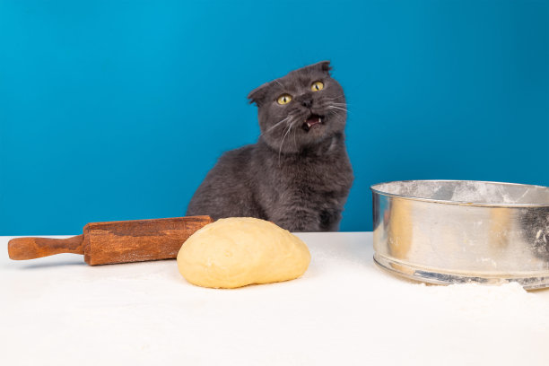 白色的桌子上放着面团、擀面杖和面粉，后面坐着一只长着嘴巴的猫。图片下载