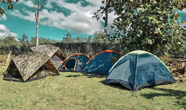 一组帐篷在田野里搭建的照片，几个帐篷在树下的草地上搭建。图片下载