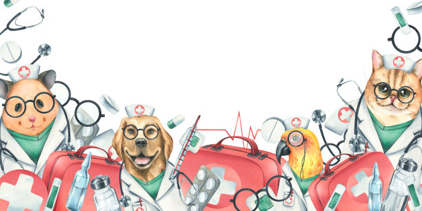 狗，猫，仓鼠，鹦鹉医生穿着晨衣，戴着眼镜，带着听诊器，一个手提箱和医疗器械，注射。水彩插图手绘。白底模板图片下载