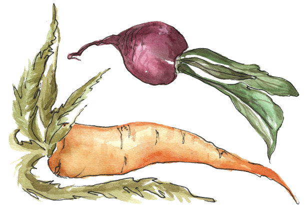 收获节日的概念。图片下载