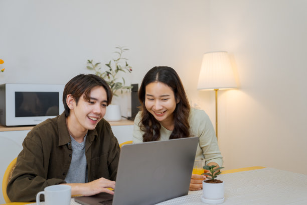 男友在家网上订票。图片下载