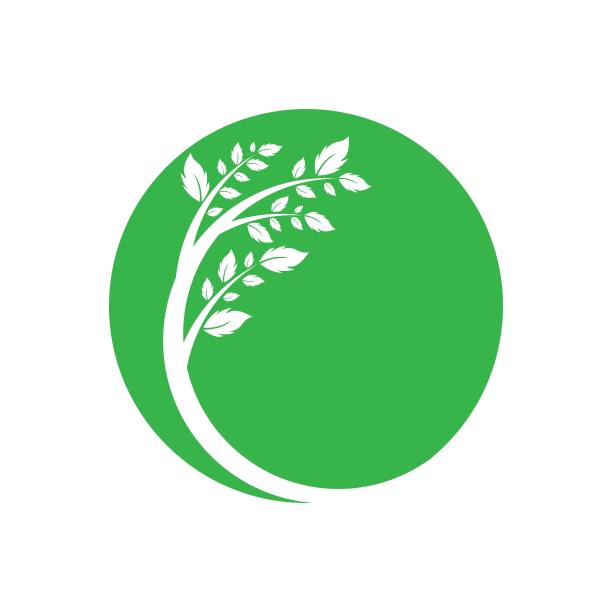 树叶矢量标志设计图片下载