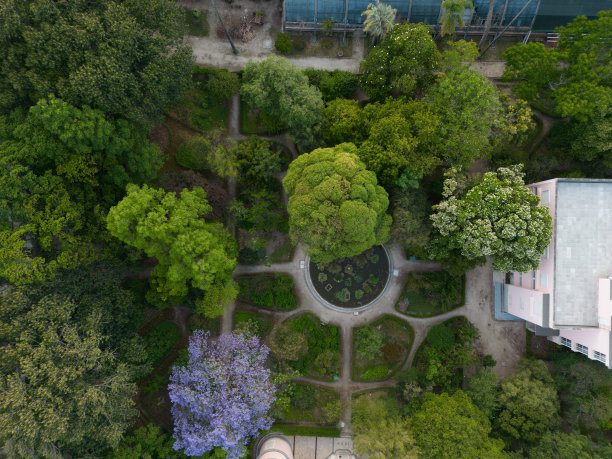 在葡萄牙的一个公园的树木环境的航拍图像图片下载