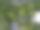 在葡萄牙的一个公园的树木环境的航拍图像图片下载