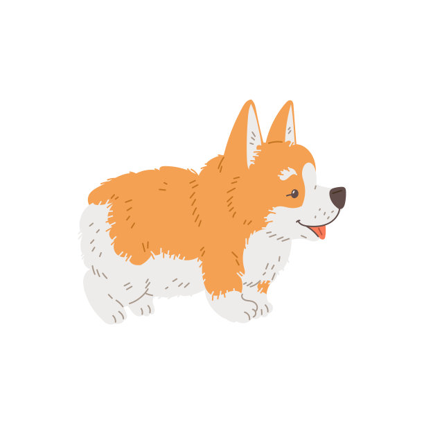 卡通柯基纯种毛狗微笑，可爱的宠物侧面视图矢量孤立插图白色图片下载