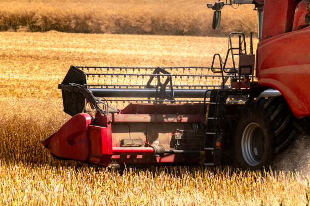 收割者正在割小麦，一种成熟的谷类作物在法国图片下载