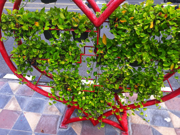 在城市的人行道上，盆栽的观赏植物被排列在铁片上，形成一个爱心图标的形状。爱心的形状为红色铁的象征图片下载