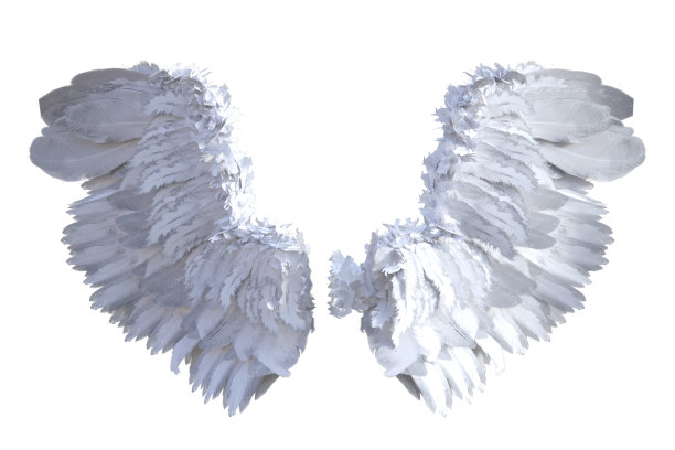 羽翼天使的翅膀隔离在白色，3d渲染。图片下载