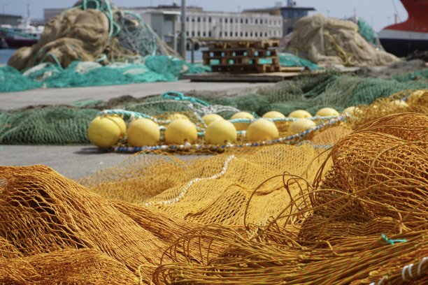 渔网。五颜六色的鱼网。渔网特写。全屏渔网。丹麦港口的渔网。图片下载
