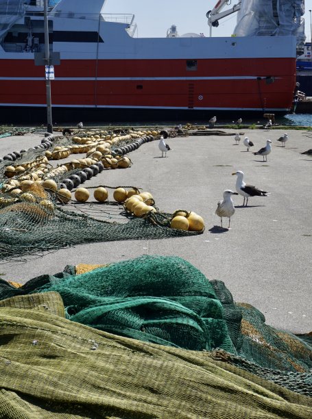 渔网。五颜六色的鱼网。渔网特写。全屏渔网。丹麦港口的渔网。图片下载