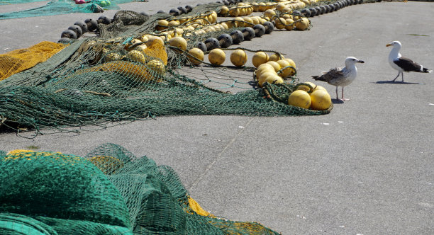 渔网。五颜六色的鱼网。渔网特写。全屏渔网。丹麦港口的渔网。图片下载
