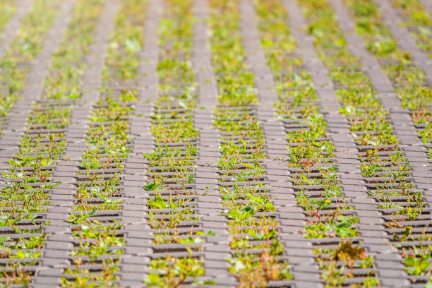绿草如茵，穿过鹅卵石铺砌，室外花园地板背景照片纹理图片下载