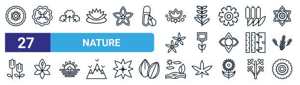 一组27细线自然图标，如牡丹，百日草，三叶草，薰衣草，生态插座，百合，田，大丽花矢量图标移动应用程序，网页设计。图片下载