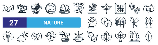 一组27个细线自然图标，如橙叶，椰子树站立，紫杉叶，尖形，梨形，阳光protic，草莓叶，木兰矢量图标移动应用程序，网页设计。图片下载