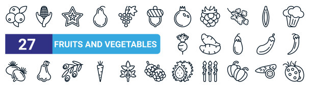 一组27细线水果和蔬菜图标，如蓝莓，玉米，杨桃，覆盆子，红薯，玫瑰，火龙果，块茎矢量图标移动应用程序，网页设计。图片下载