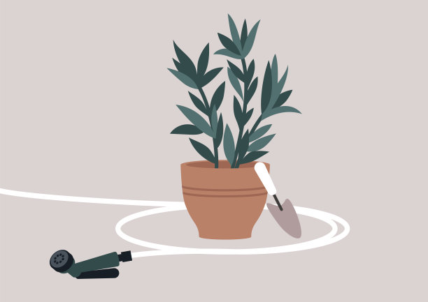 一个园艺概念，用园艺工具报告植物图片下载