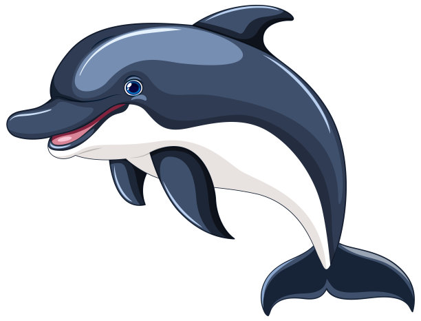 海豚跳跃和微笑图片下载