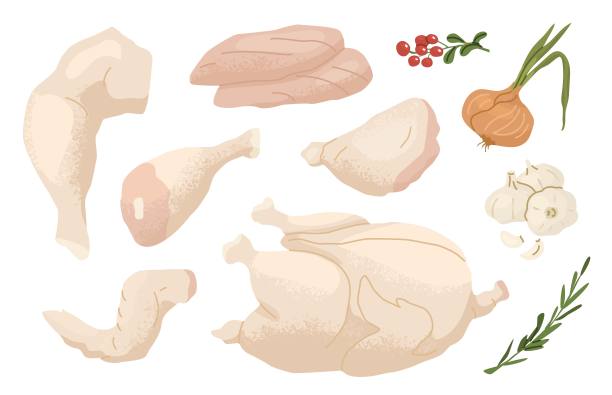 一套肉制品。新鲜鸡肉，火鸡肉片。不同部位的家禽和蔬菜。农场和食品市场的概念。矢量插图隔离在白色背景上。图片下载