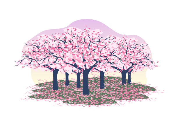 樱花枝图片下载