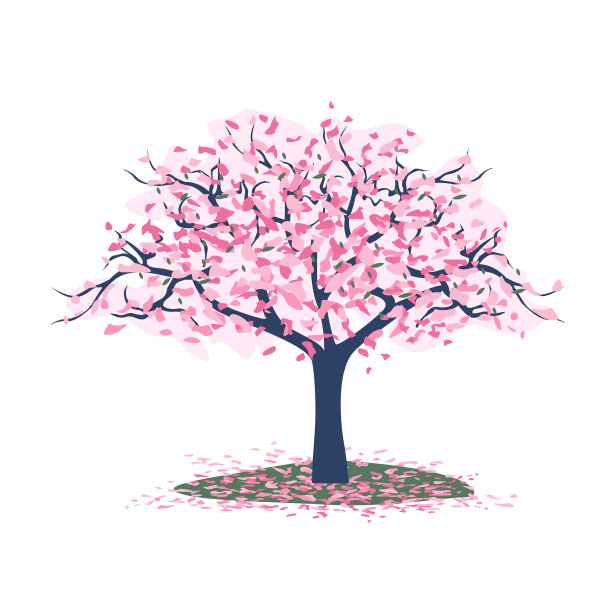 樱花枝图片下载