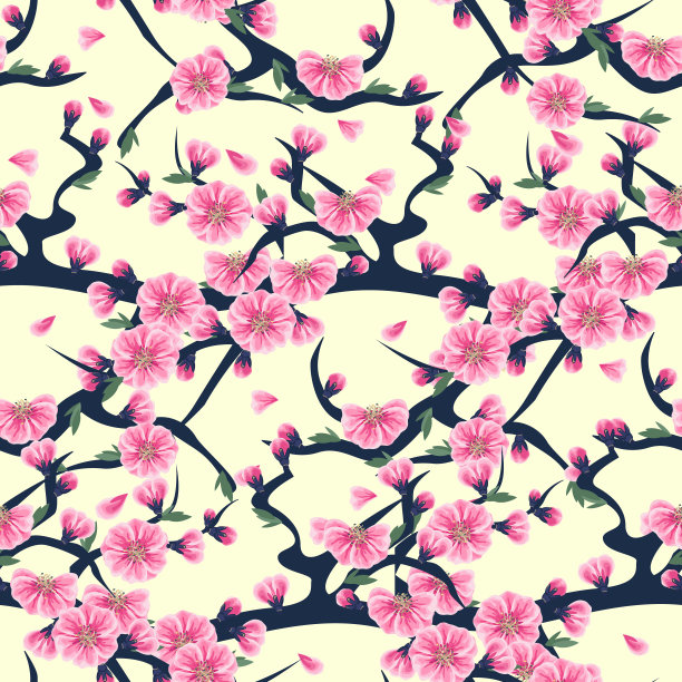 樱花枝图片下载